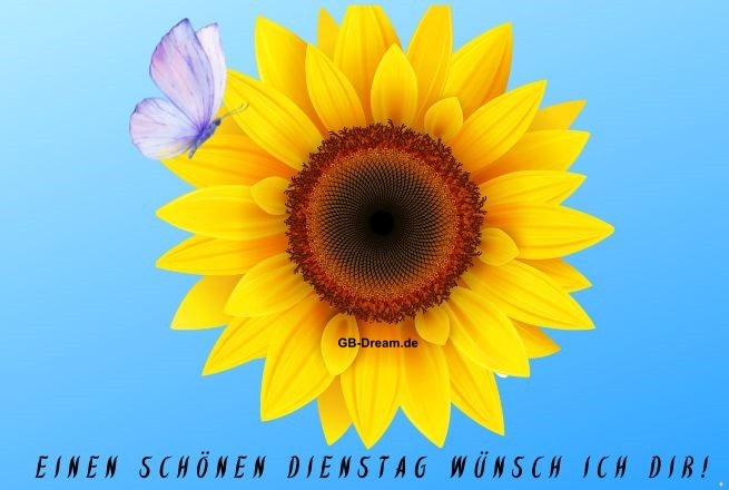 Einen schönen Dienstag wünsche ich Dir!