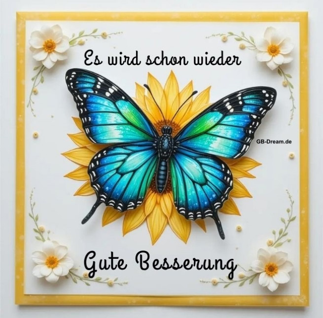 Es wird schon wieder. Gute Besserung!