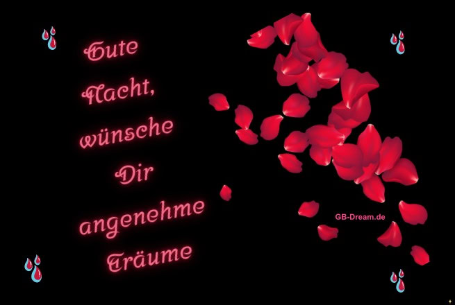 Gute Nacht wünsche ich Dir! Angenehme Träume