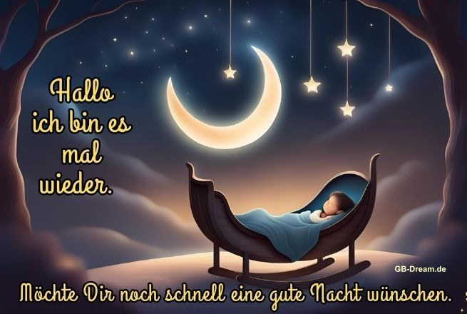 Hallo ich bin es mal wieder. Möchte Dir noch schnell eine gute Nacht wünschen.