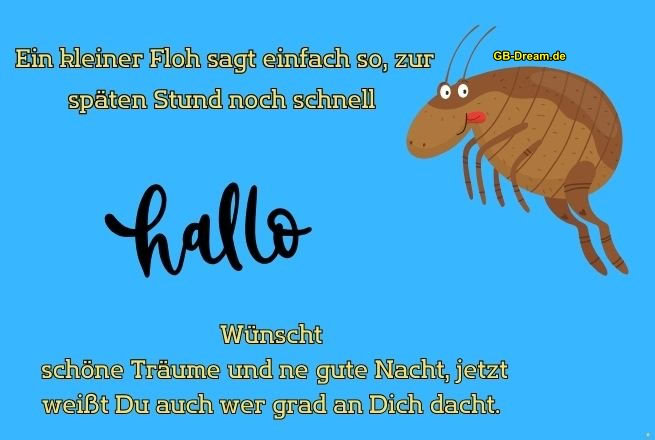 Ein kleiner Floh sagt einfach so, zur späten Stund noch schnell hallo. Wünscht<br />
schöne Träume und eine gute Nacht, jetzt weißt Du auch wer grad an Dich dacht.