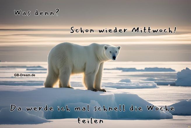 Was denn? Schon wieder Mittwoch! da werde ich mal schnell die Woche teilen.
