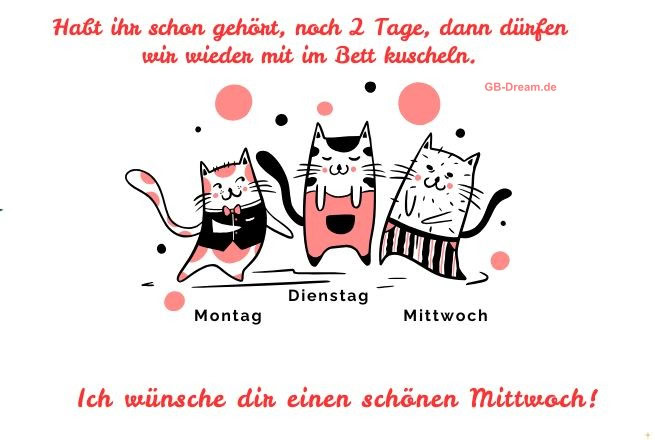 Montag, Dienstag, Mittwoch! Habt ihr  schon gehört, noch 2 Tage dann dürfen<br />
 wir wieder mit im Bett kuscheln. Ich wünsche dir einen schönen Mittwoch!