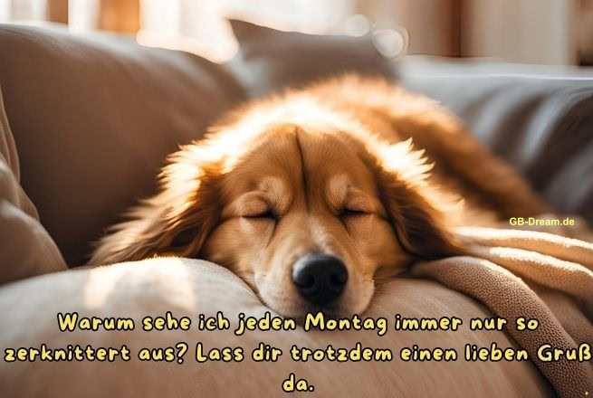 Warum sehe ich jeden Montag immer nur so zerknittert aus? Lass  dir trotzdem einen lieben Gruß da.
