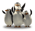 Gaestebuchbild Animation Pinguine