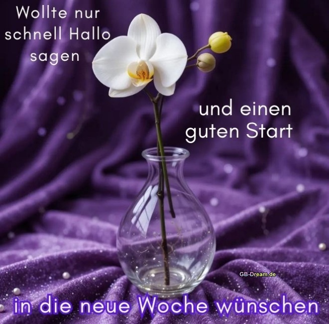Wollte nur schnell hallo sagen und einen guten Start in die neue Woche wünschen!
