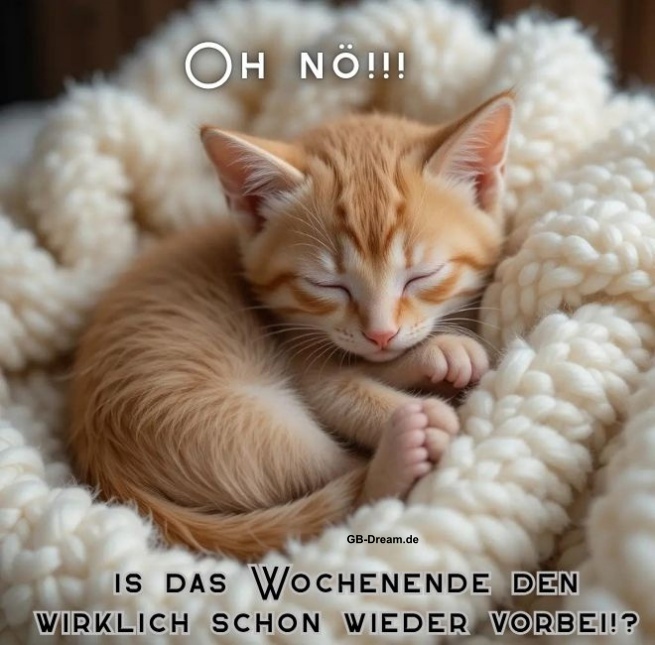 Oh nö, ist das Wochenende denn wirklich schon wieder vorbei!?