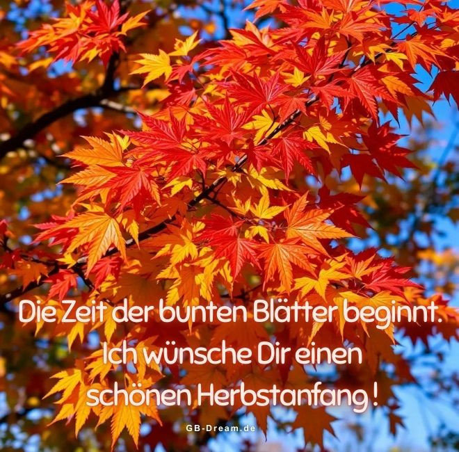 Die Zeit der bunten Blätter beginnt. Ich wünsche Dir einen schönen Herbstanfang.