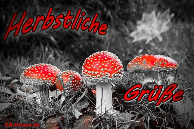 Herbstliche Grüße. Ich wünsche Dir einen schönen Herbstanfang.