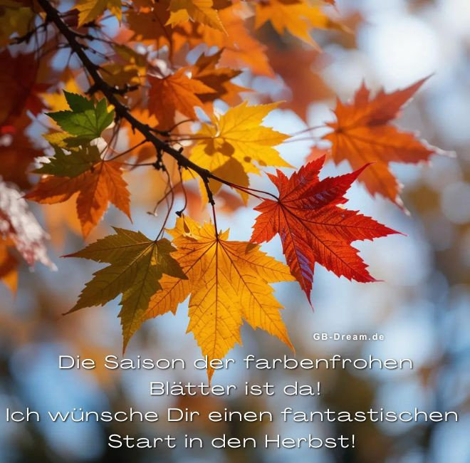 Die Saison der farbenfrohen Blätter ist da! Ich wünsche Dir einen fantastischen Start in den Herbst! Dir einen schönen Herbstanfang!