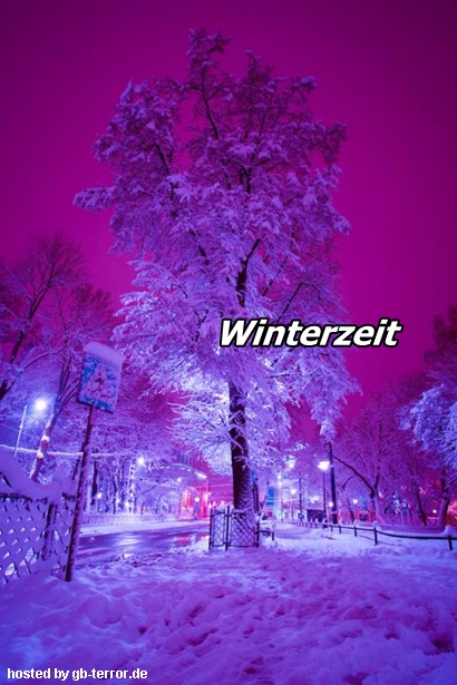 Winter Gaestebuchbild