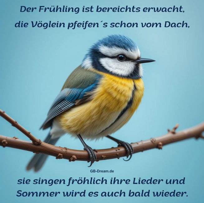 Die Vöglein pfeifen es schon vom Dach, der Frühling ist bereichts erwacht.<br />
Sie singen fröhlich ihre Lieder und Sommer wird es dann auch bald wieder.
