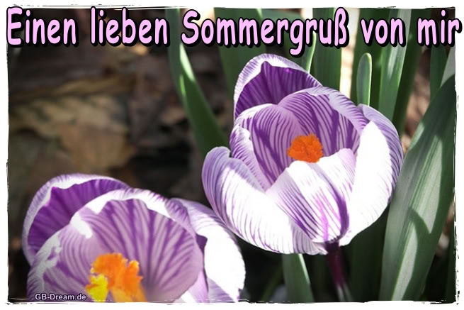 Einen lieben Sommergruß von mir!
