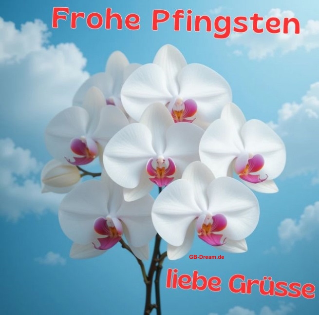 Blumengrüsse zu Pfingsten