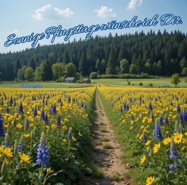 Sonnige Pfingsttage wünsche ich Dir.