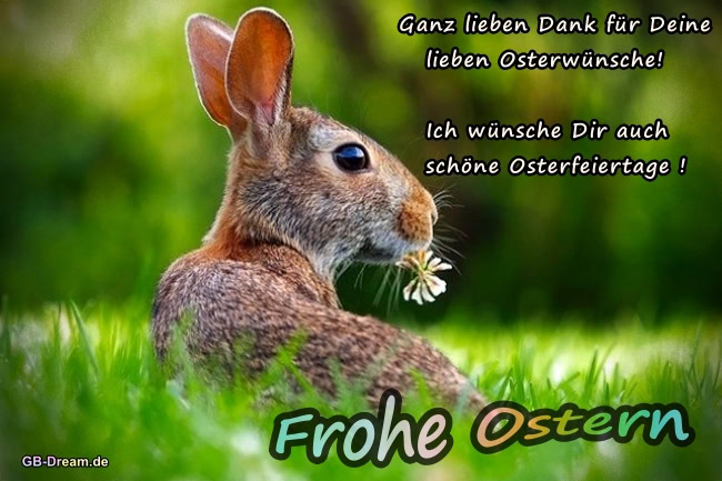 Frohe Ostern Hase Spruch<br />
Ganz lieben Dank für deine lieben Osterwünsche !<br />
Ich wünsche Dir auch schöne Osterfeiertage !