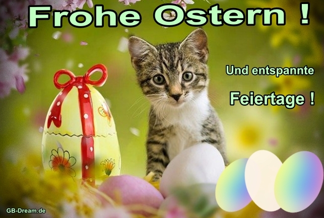 Frohe Ostern und entspannte Feiertage !<br />
Ostern Spruch Bild mit Katze.