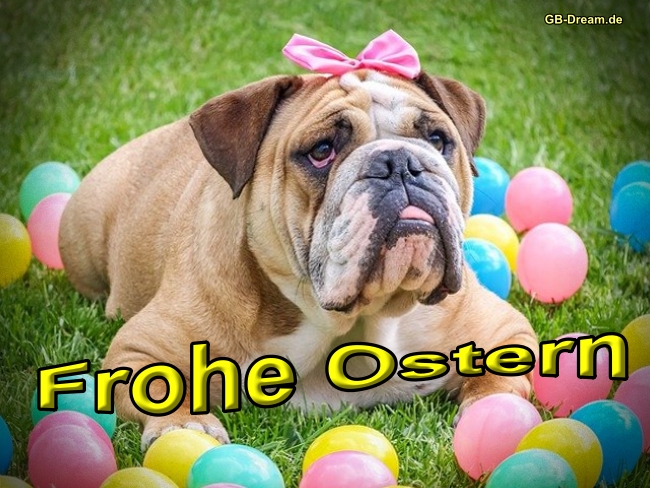 Lustiges Frohe Ostern Bild mit Hund.