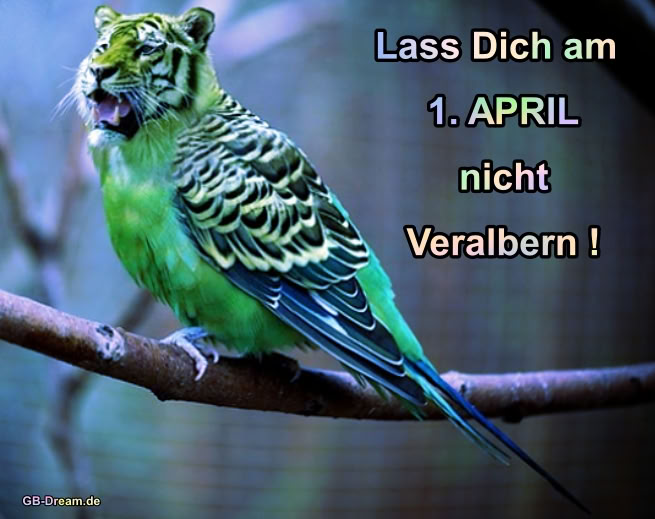 Lass Dich an 1. April nicht veralbern !
