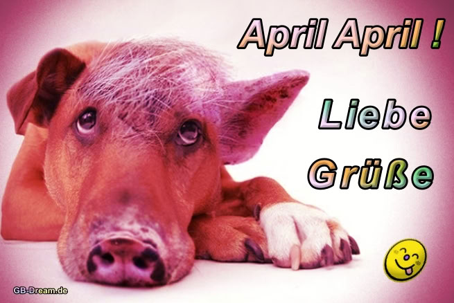 Lustiges Bild zum 1. April