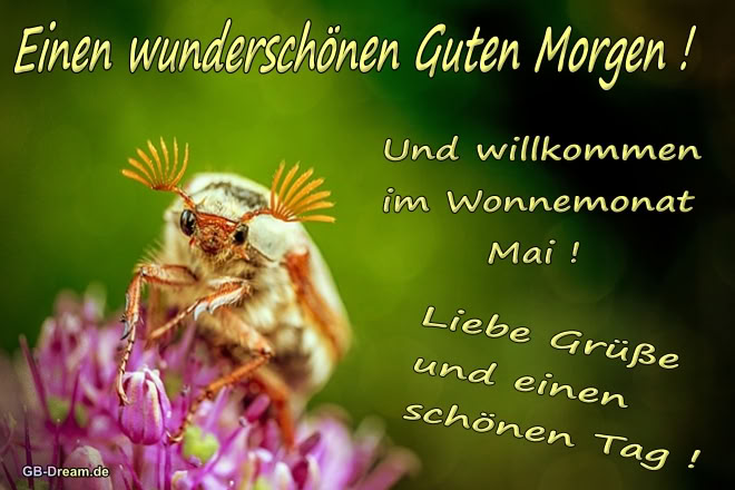 Einen wunderschönen Guten Morgen! Willkommen im Wonnemonat Mai! Liebe Grüße und einen schönen Tag! 1.Mai Grüße.