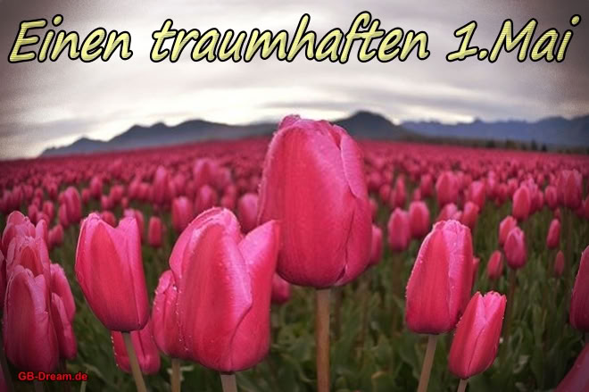 Einen traumhaften 1.Mai