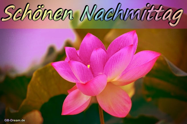 Schönen Nachmittag!