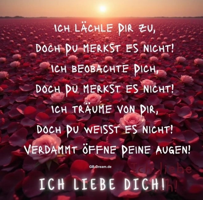 Ich liebe Dich  - Spruch
