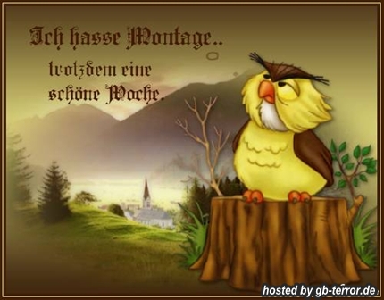 Montags GB-Pic