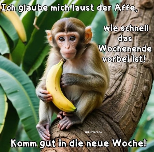 Komm gut in die neue Woche